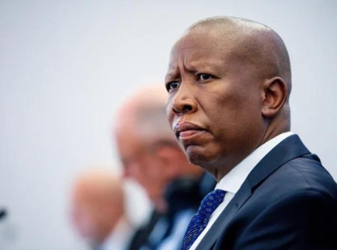 'Not above the law': Political parties respond as Malema gets 5 years